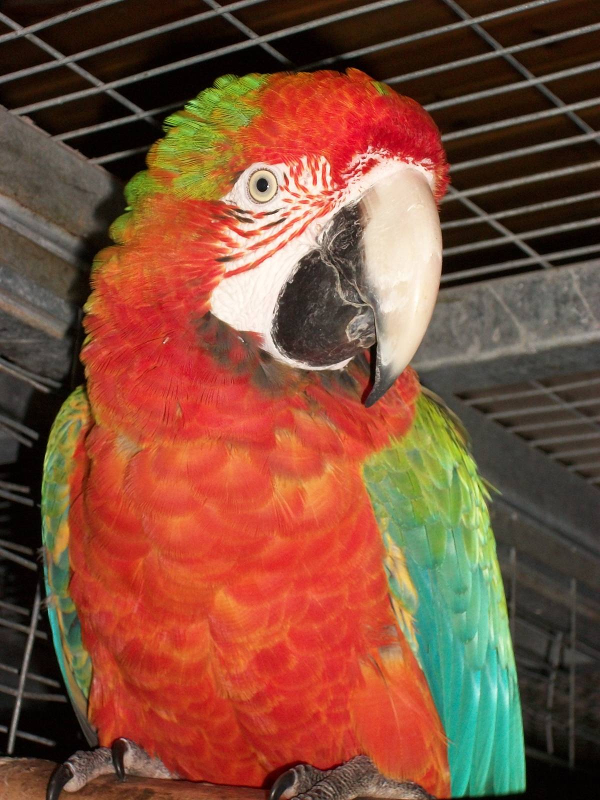 Julian, 9th June 2014