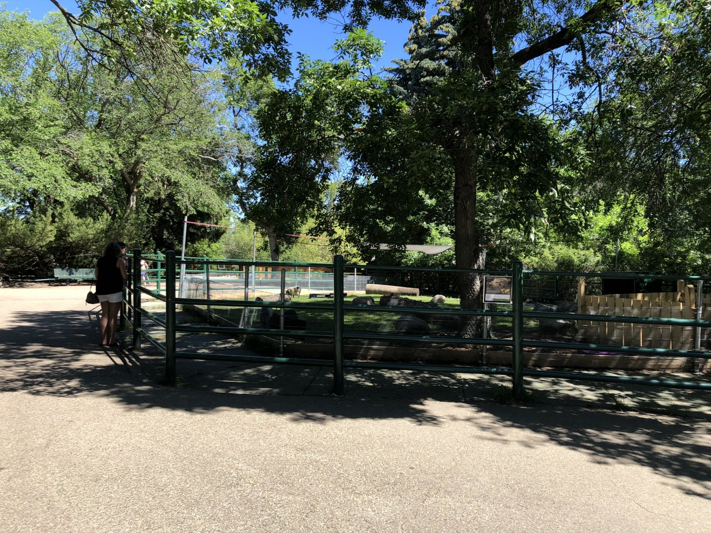 Juliana Pig Enclosure at Edmonton Valley Zoo (July 2022)