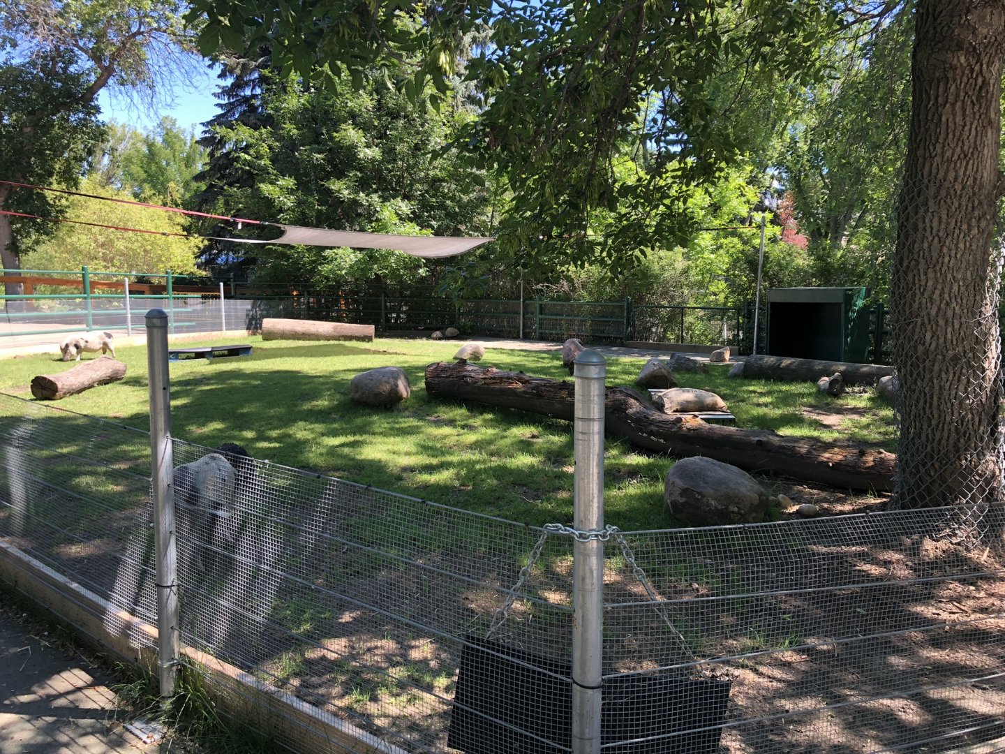 Juliana Pig Enclosure at Edmonton Valley Zoo (July 2022)
