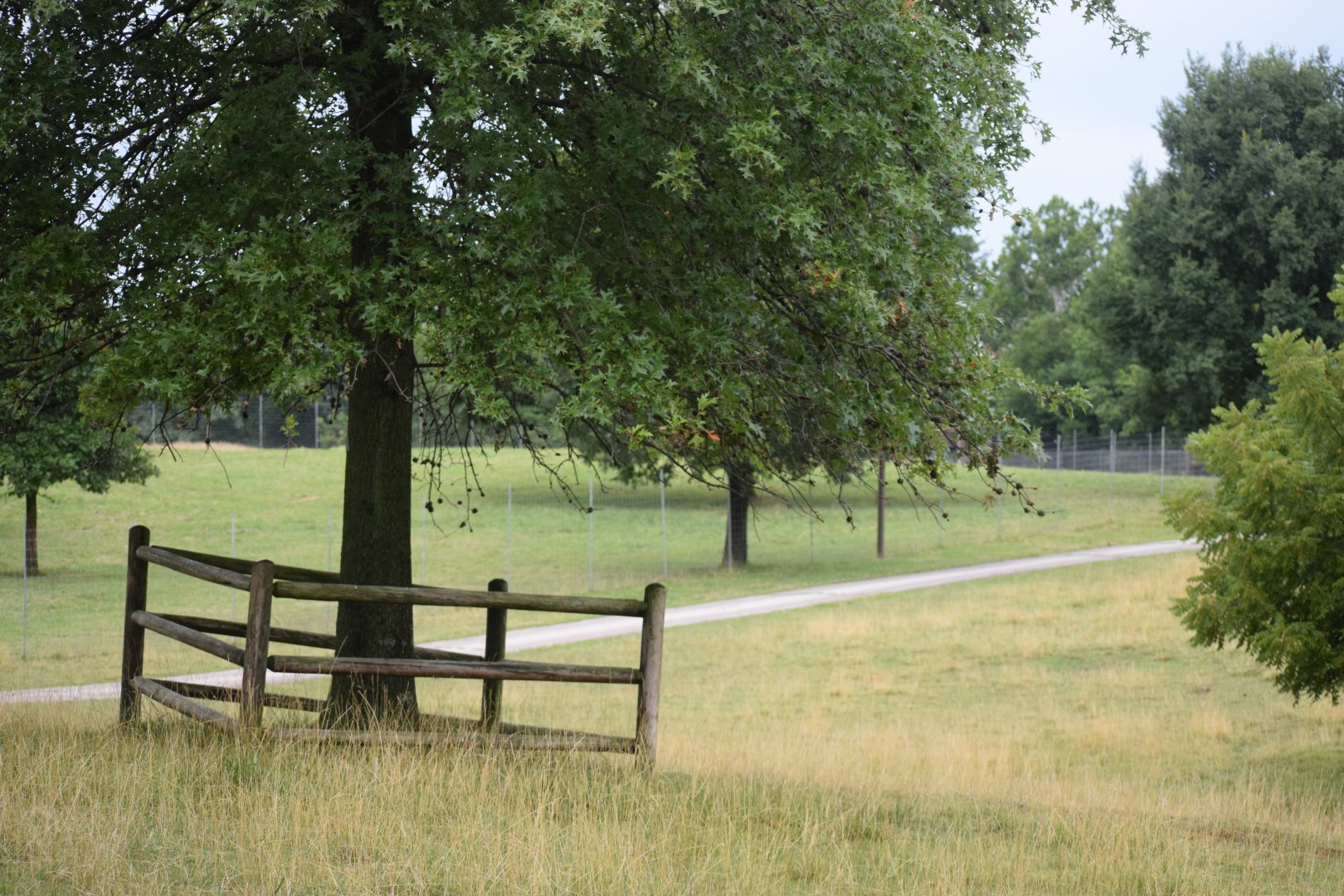 [July 2022] main Deer Park