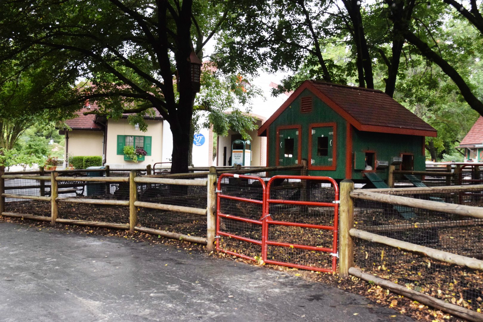 [July 2022] Tier Garten- domestic rabbit hutch area (Oryctolagus cuniculus domesticus)