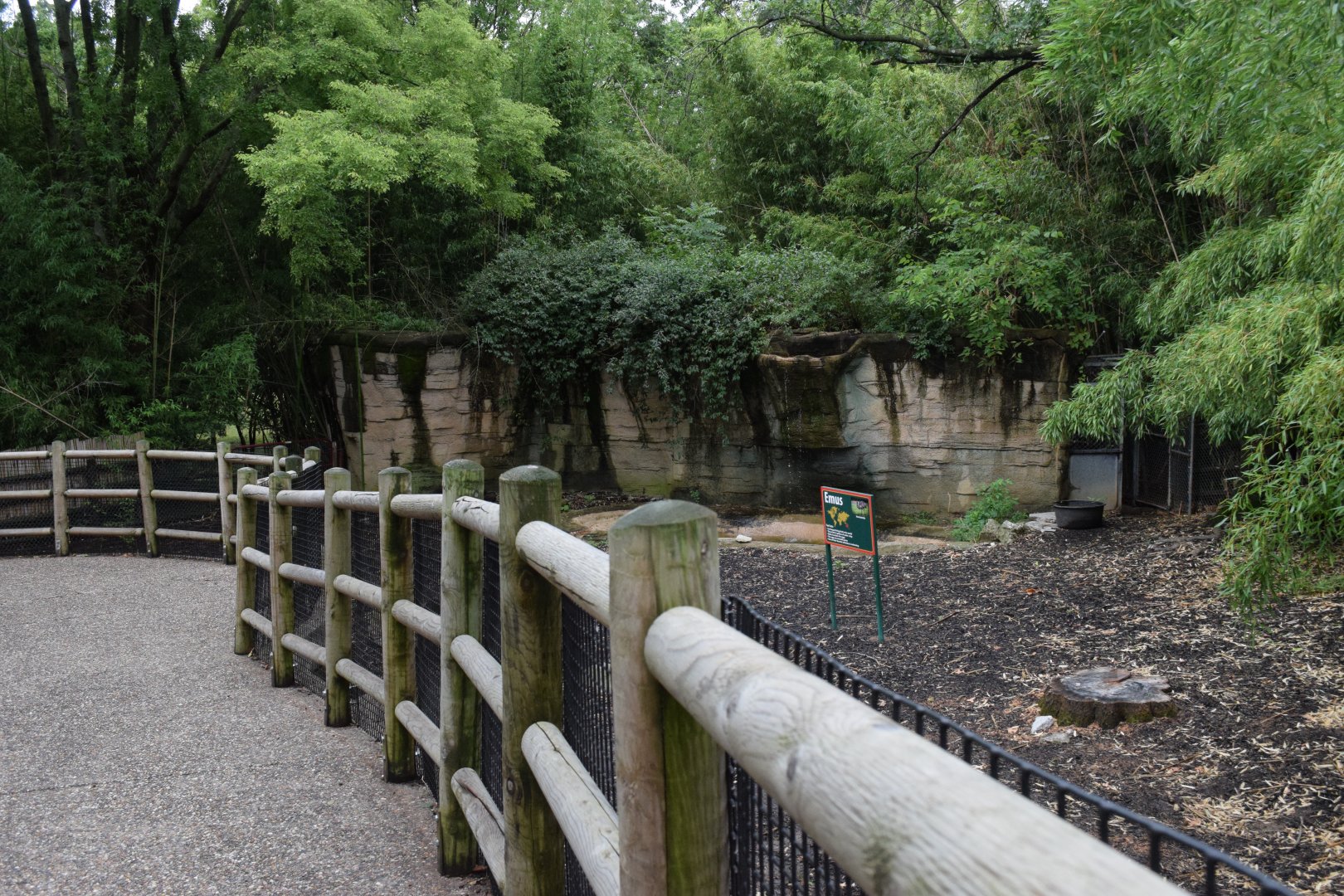 [July 2022] Tier Garten- emu (Dromaius novaehollandiae) enclosure