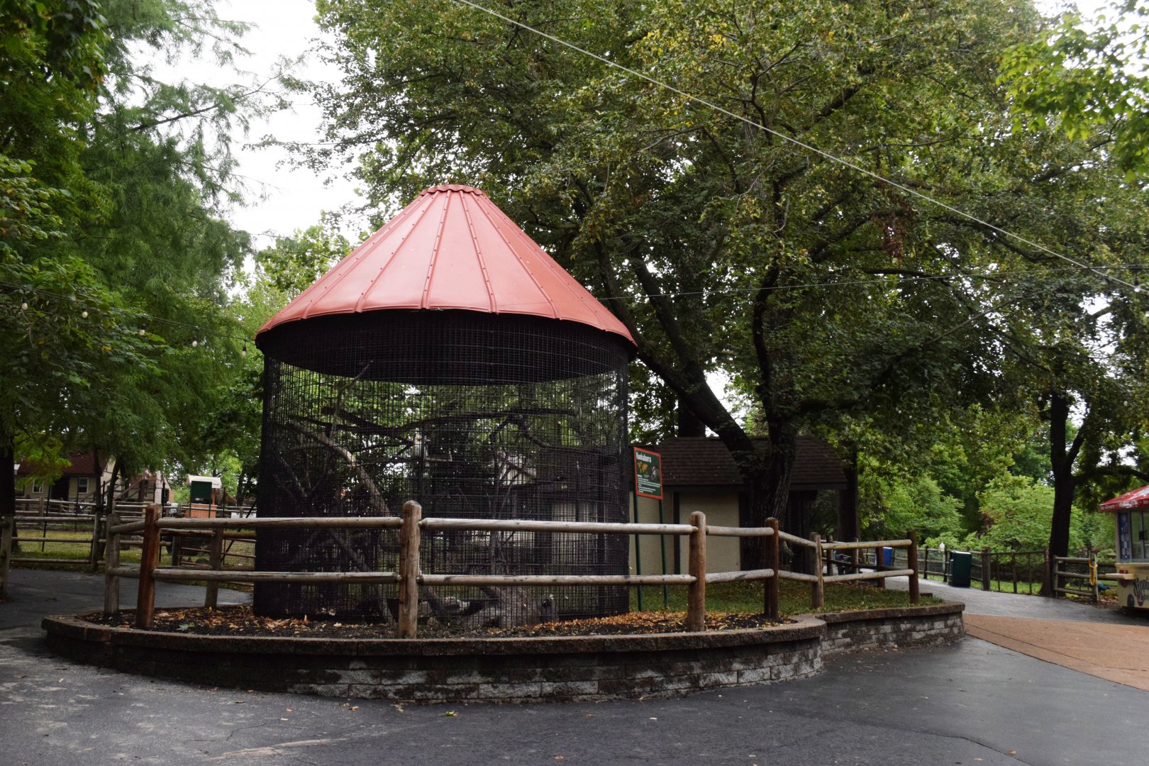 [July 2022] Tier Garten- laughing kookaburra (Dacelo novaeguineae) cage