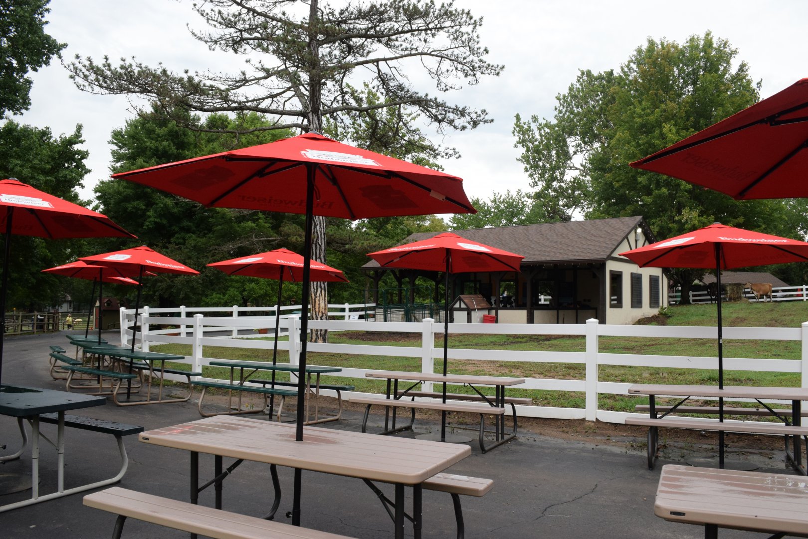 [July 2022] Tier Garten- tables outside Bauernhof Courtyard
