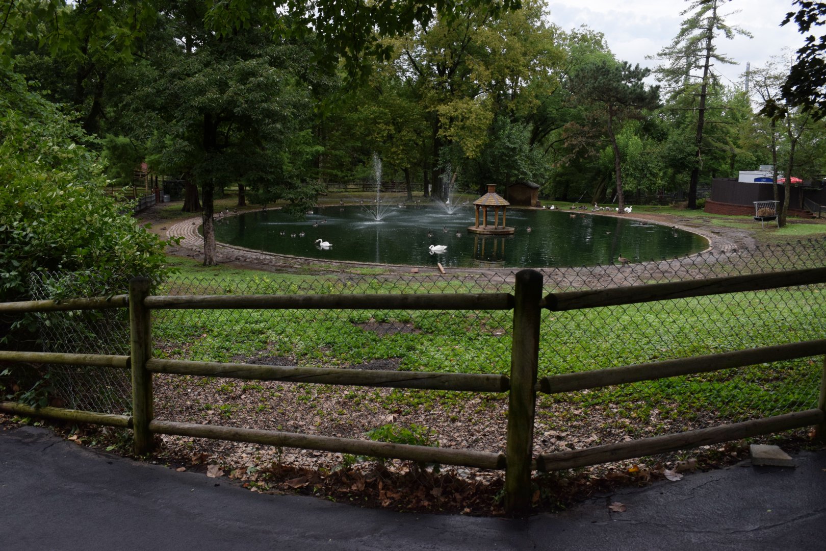 [July 2022] Tier Garten- waterfowl lake