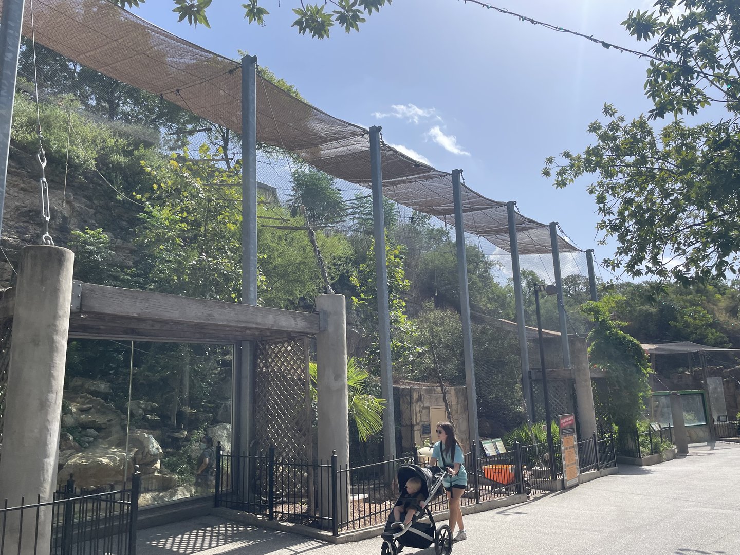 July 2023- White-Cheeked Gibbon Exhibit