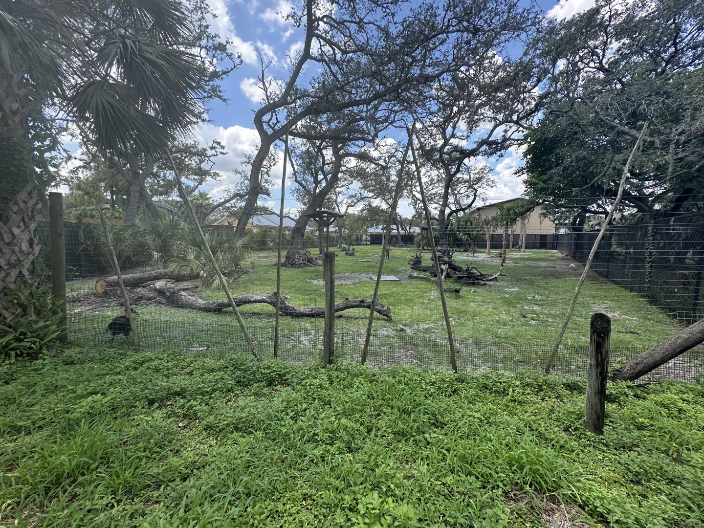 July 2025 - Africa - Antelope Mixed Enclosure