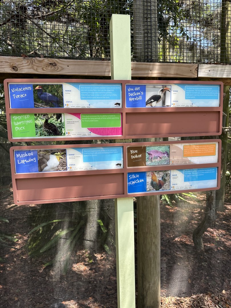 July 2025 - Africa - Aviary Species List