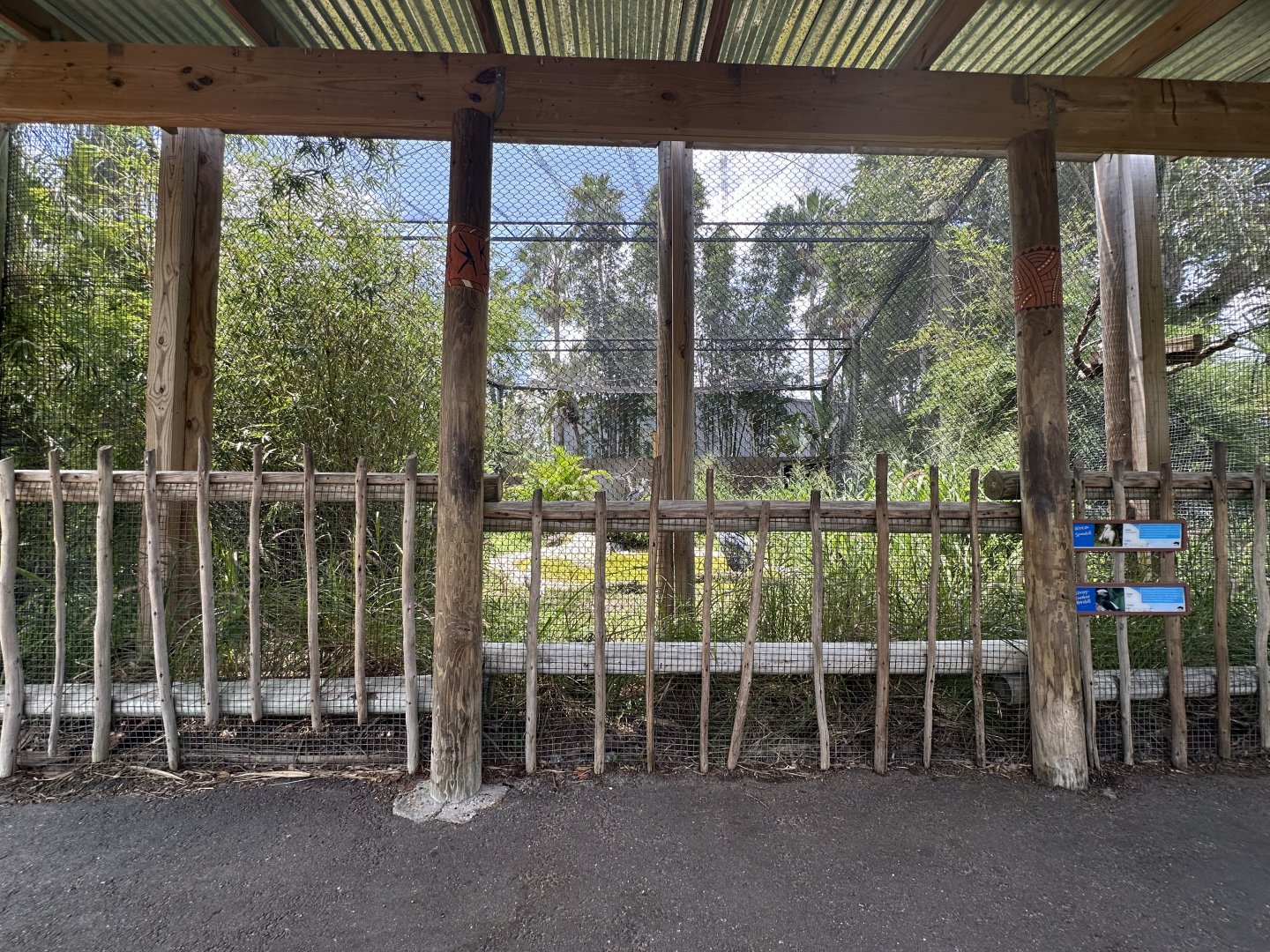 July 2025 - Africa - Shoebill Viewing Area