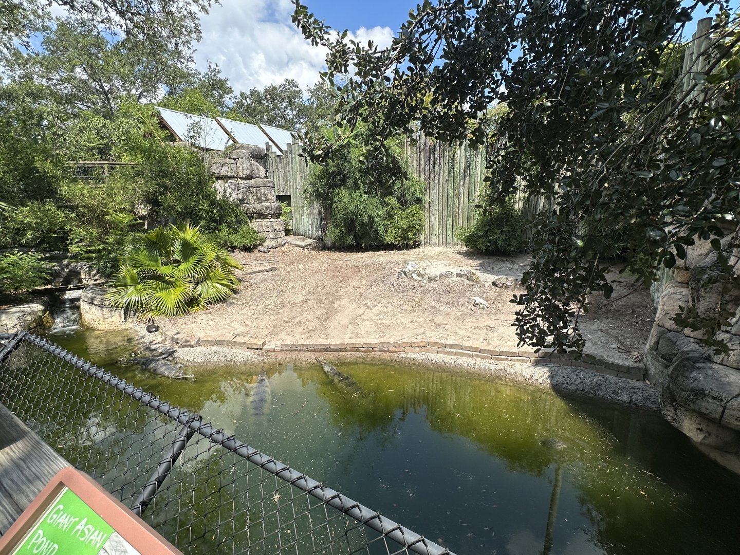 July 2025 - Asia - Gharial Mixed Enclosure