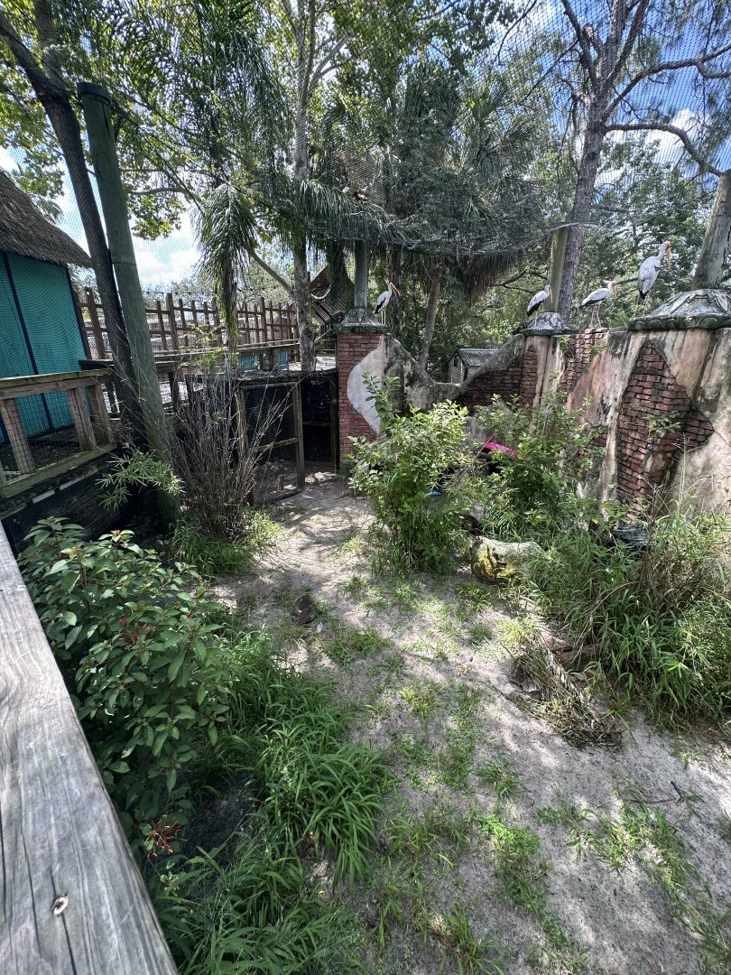 July 2025 - Asia - Muntjac Enclosure (Empty)