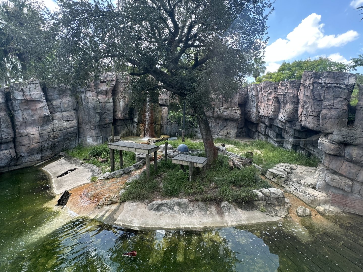 July 2025 - Asia - Tiger Enclosure (Empty)