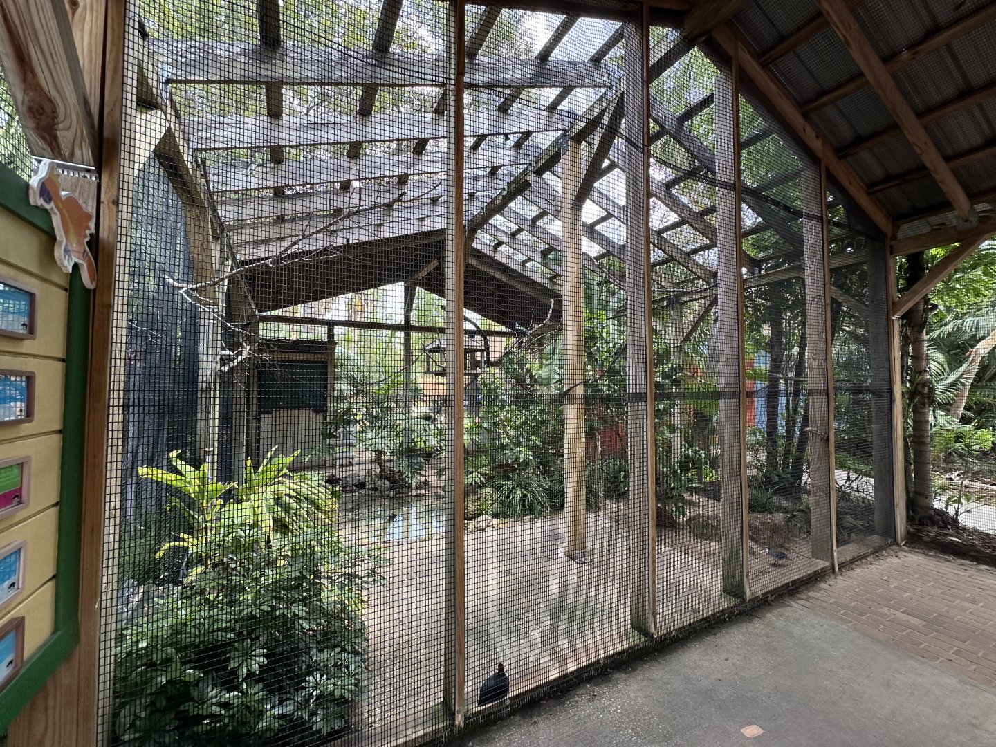 July 2025 - Australia - Straya’s Bird Sanctuary (Overview)