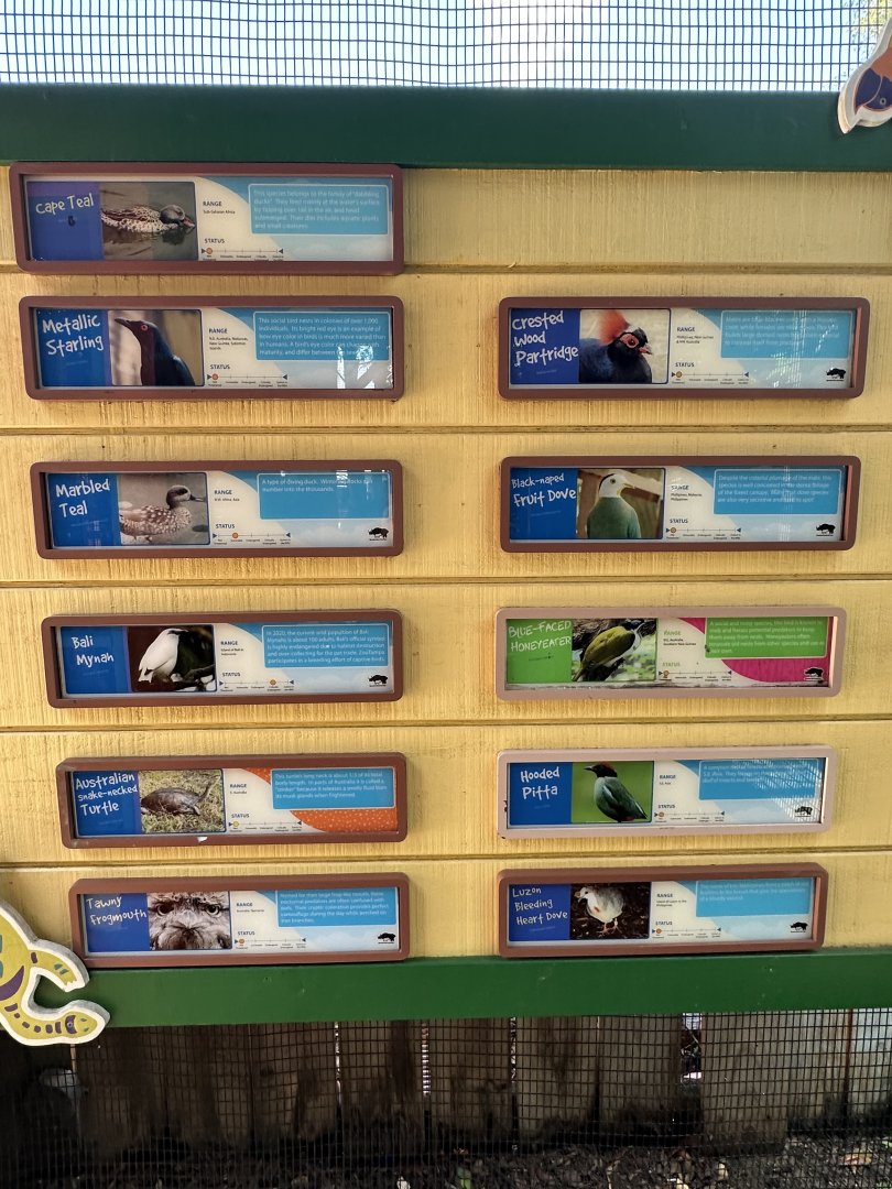 July 2025 - Australia - Straya’s Bird Sanctuary (Species List)