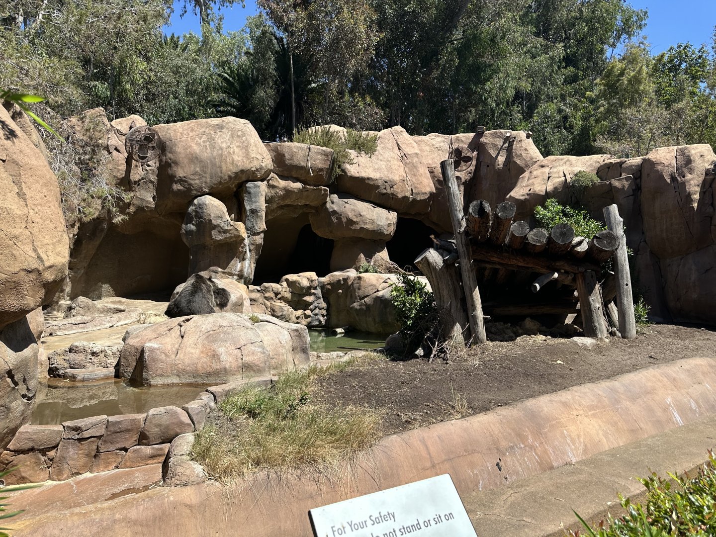 July 2025 - Center Street - Grizzly Bear Grotto (1 of 2)