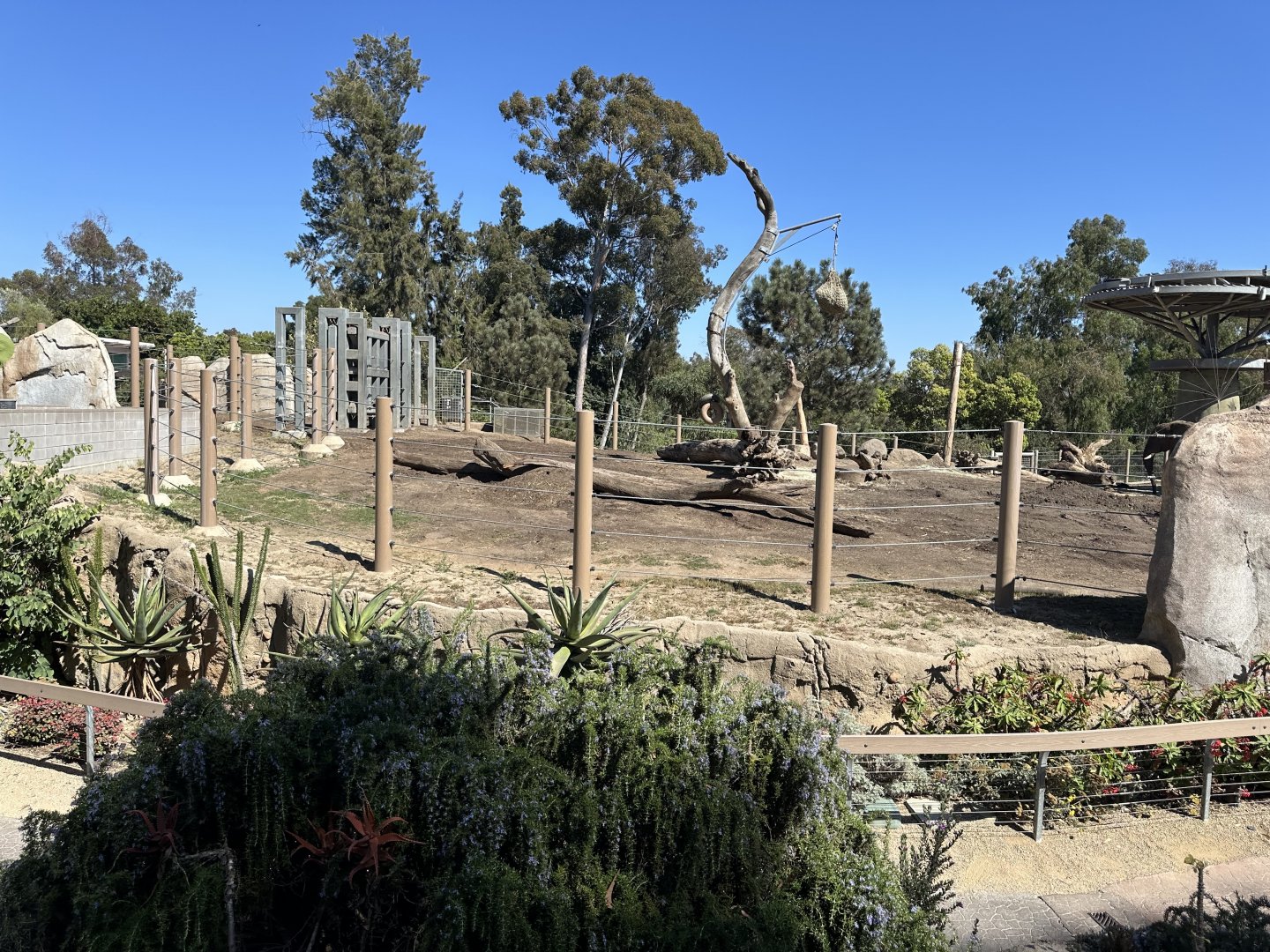 July 2025 - Elephant Odyssey - African Elephant Yard (from the Bus Tour)