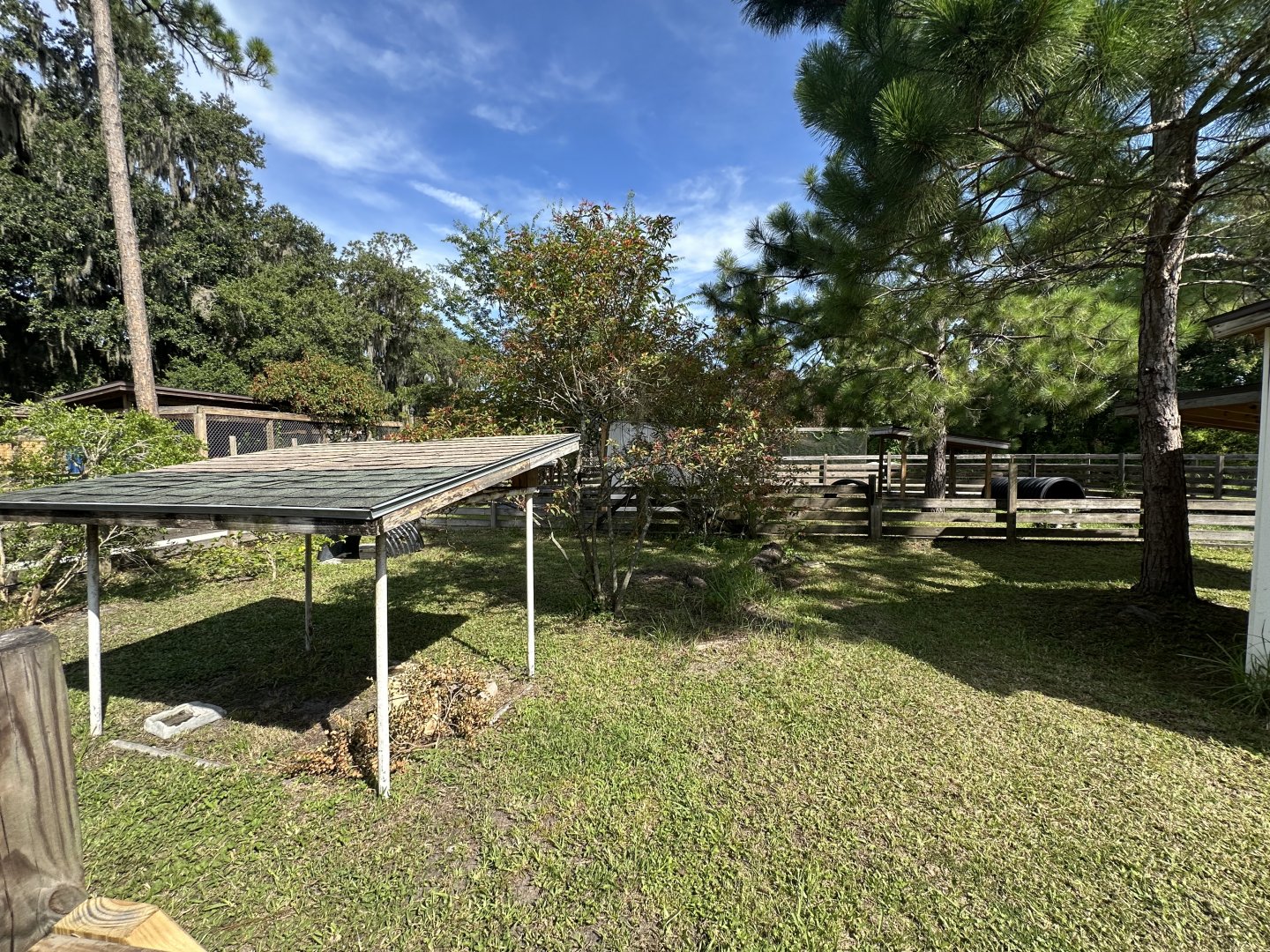 July 2025 - Gopher Tortoise Enclosure