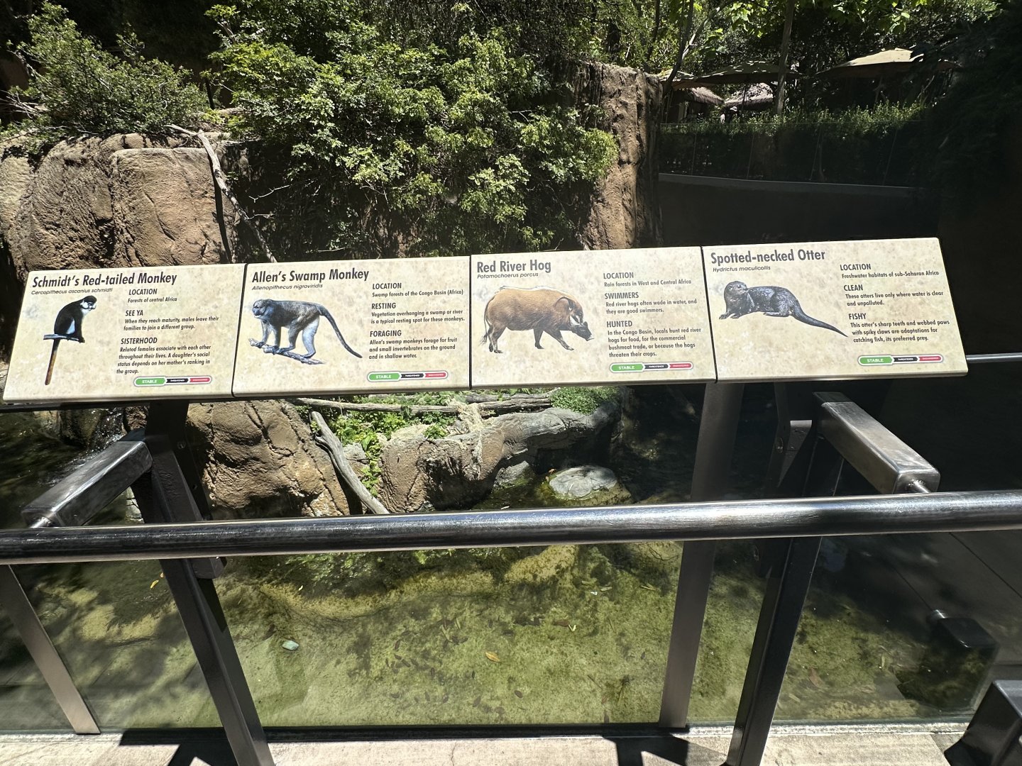 July 2025 - Lost Forest - Mixed Enclosure Signage