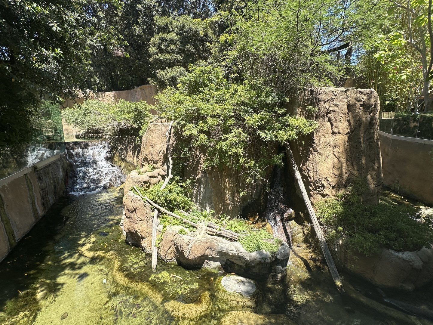 July 2025 - Lost Forest - Mixed Enclosure