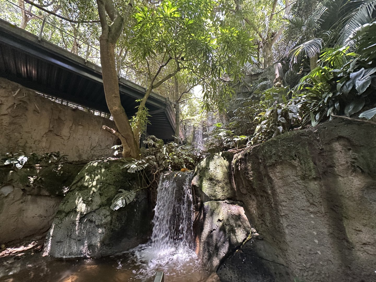 July 2025 - Lost Forest - Scripps Aviary Interior (Lower Level)