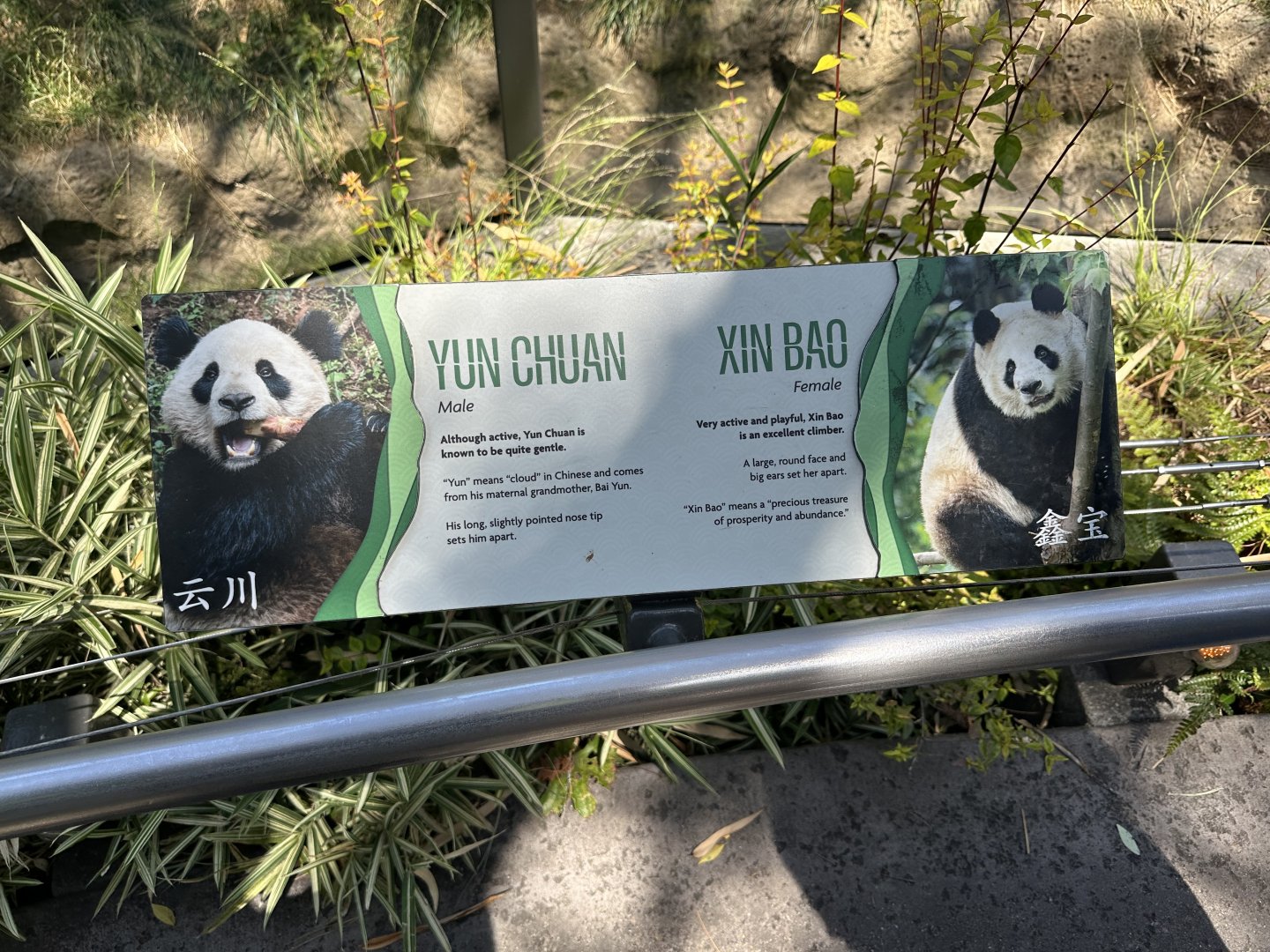 July 2025 - Panda Ridge - Panda Identification Signage