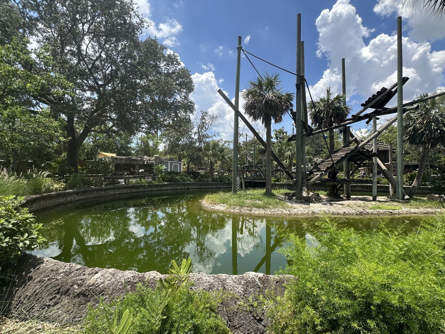 July 2025 - Primate World - Colobus Enclosure