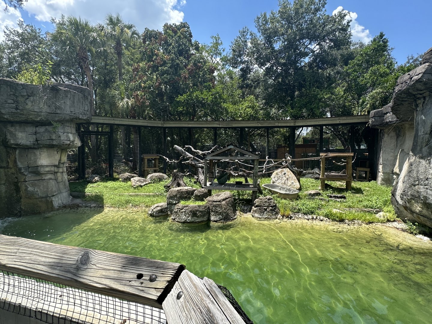 July 2025 - Primate World - Sloth Enclosure (formerly Mandrill)