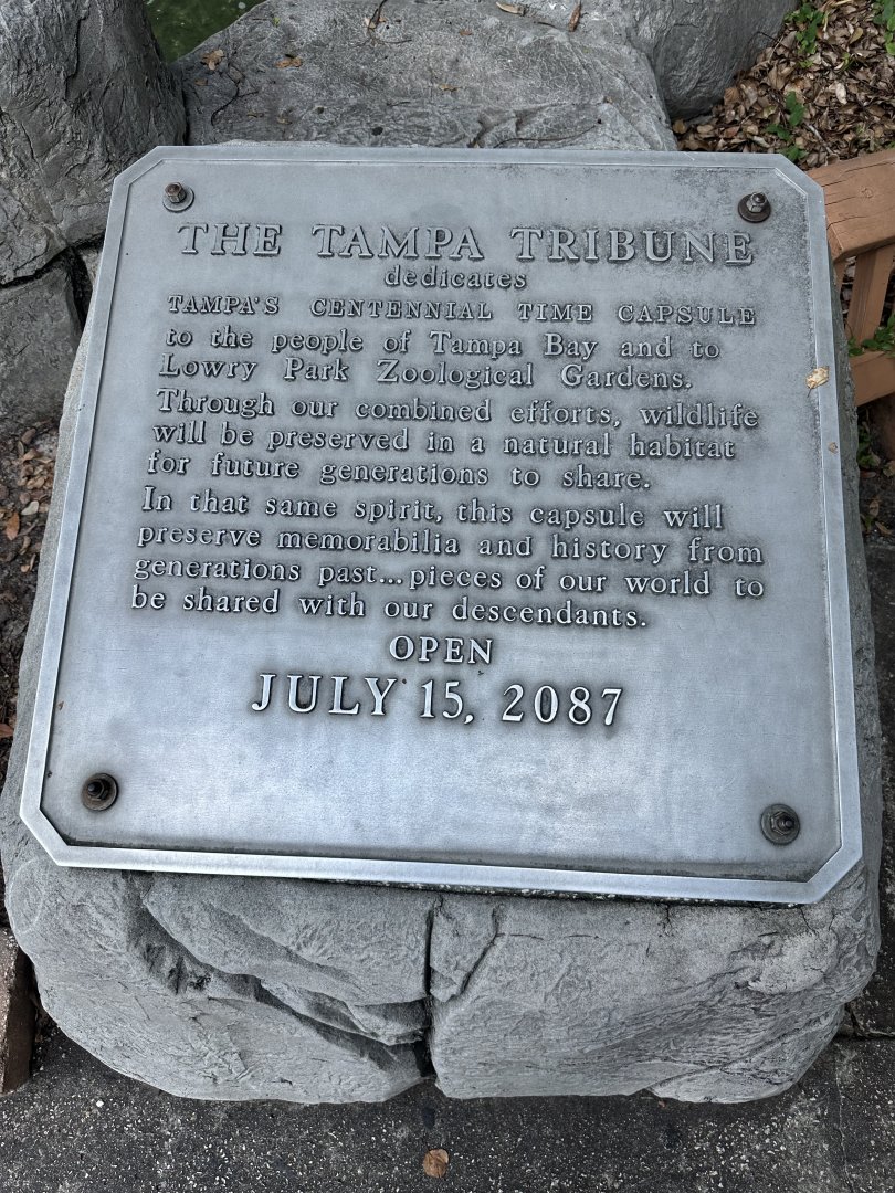 July 2025 - Time Capsule