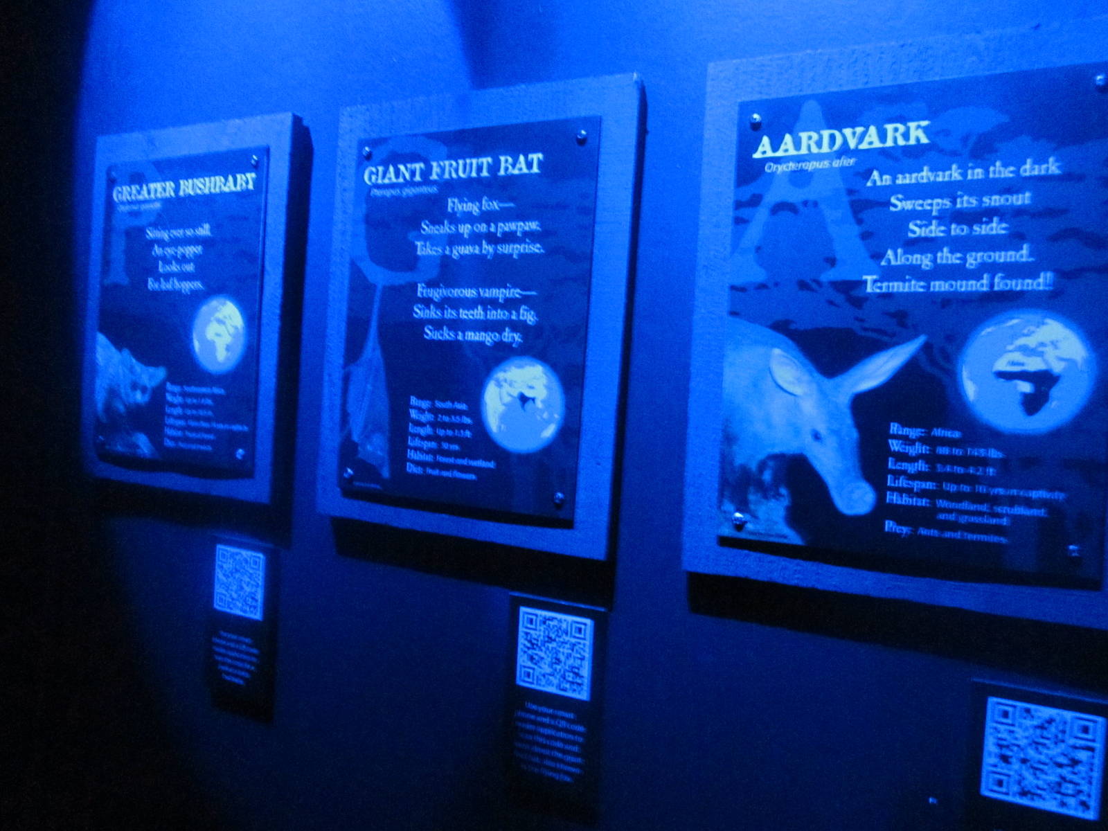 Jun. 2012-Aadvark, Fruit Bat, and Galago signs