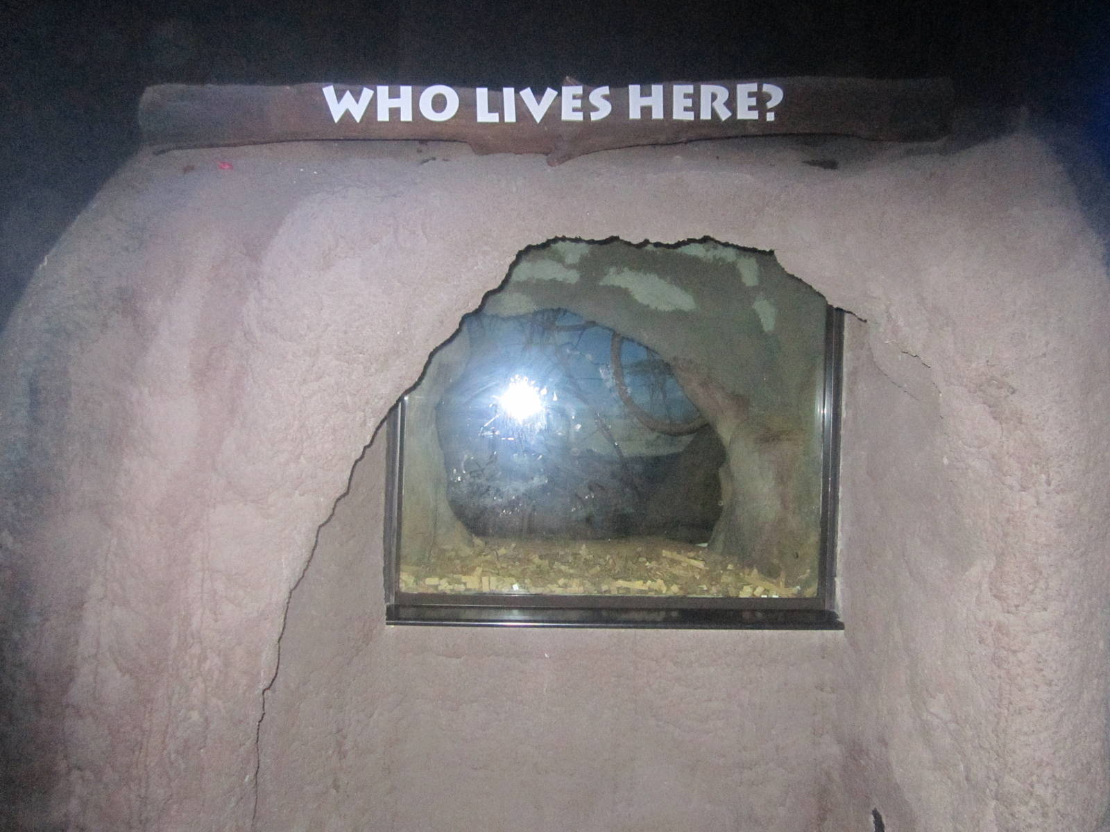 Jun. 2012-Aardvark den