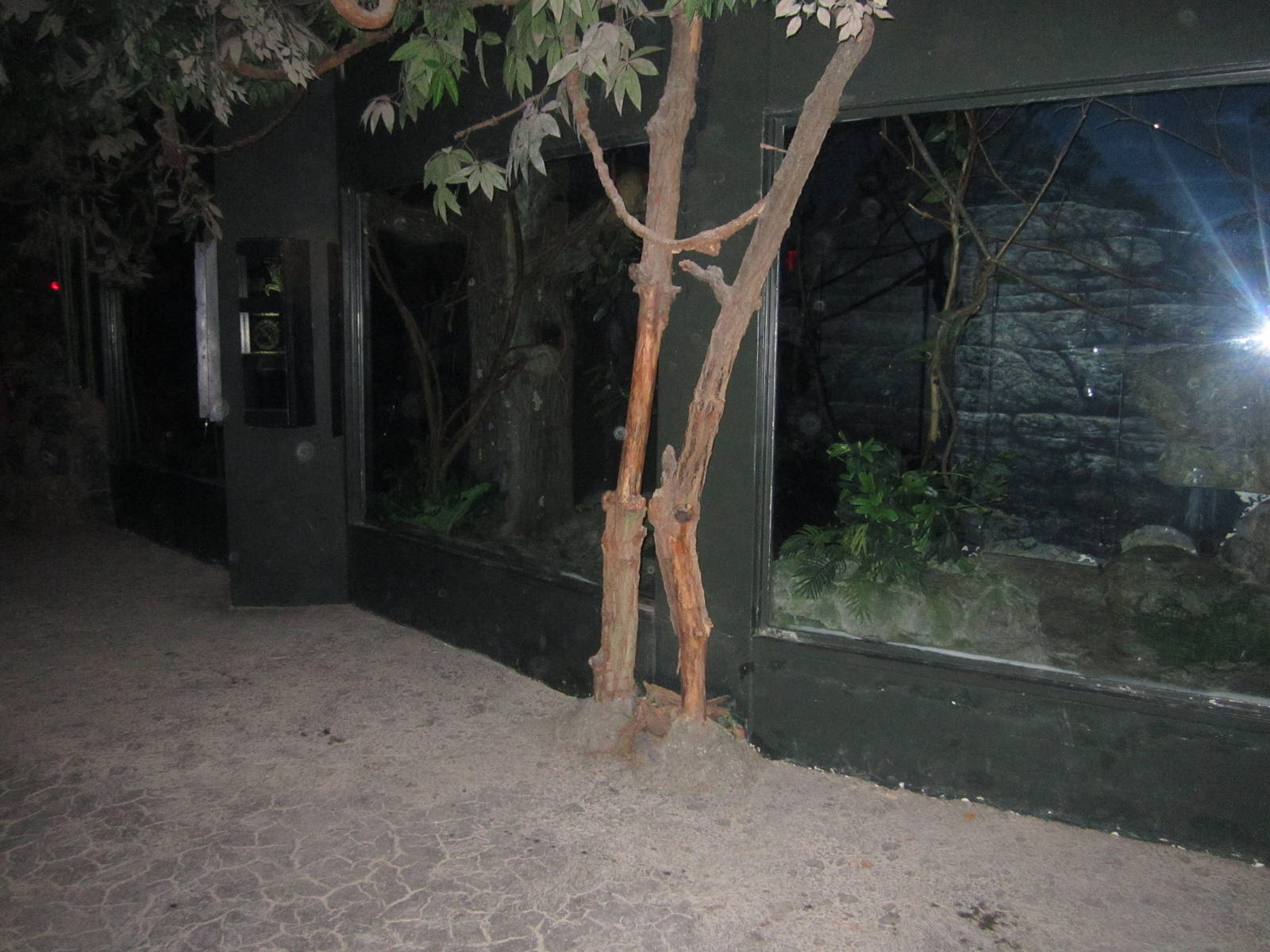 Jun. 2012-African Animal Nocturnal Exhibits