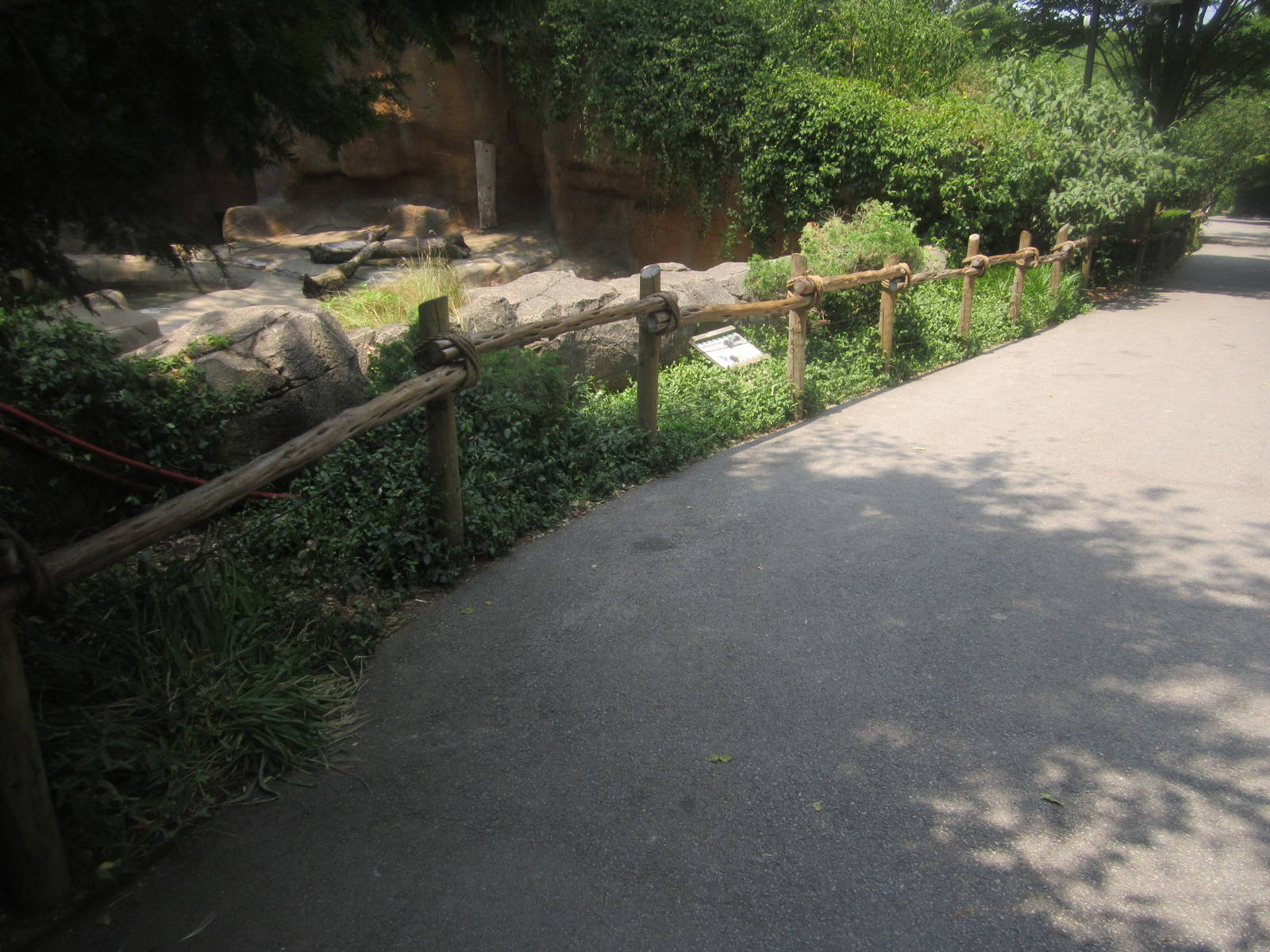 Jun. 2012-American black bear exhibit viewing