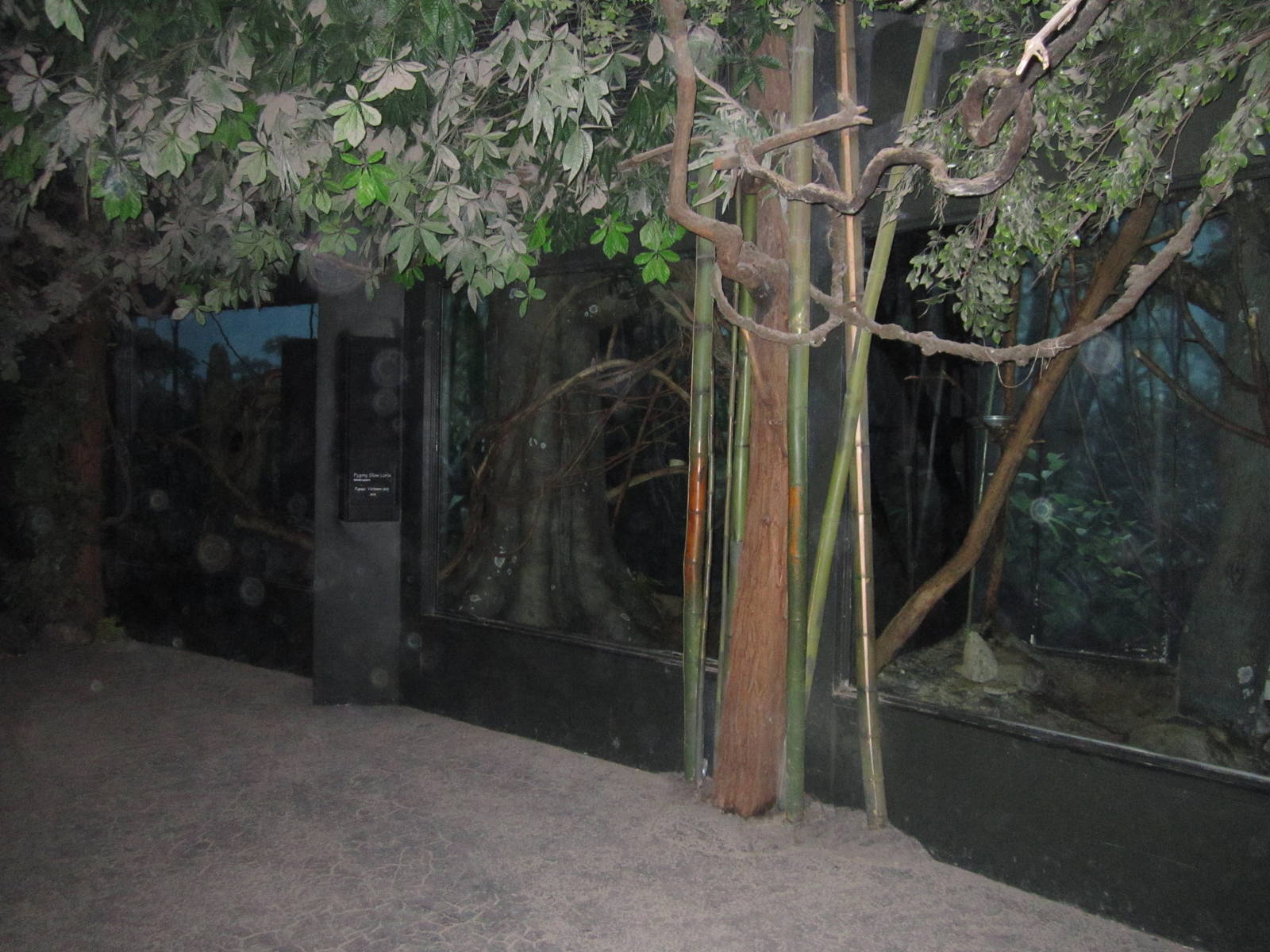 Jun. 2012-Asian Animal Nocturnal Exhibits