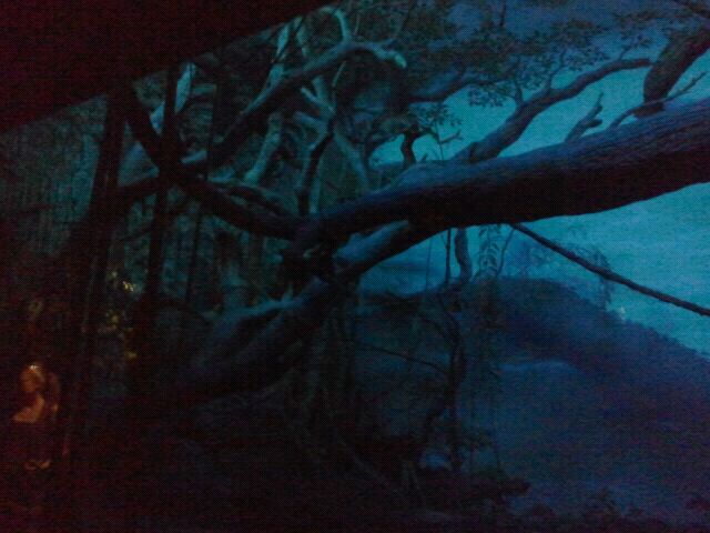 Jun. 2012-Aye-aye/Grey Bamboo Lemur/Potto exhibit