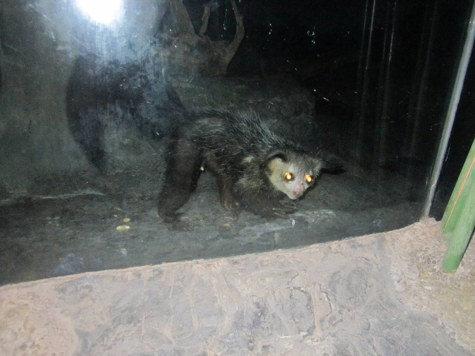 Jun. 2012-Aye-aye