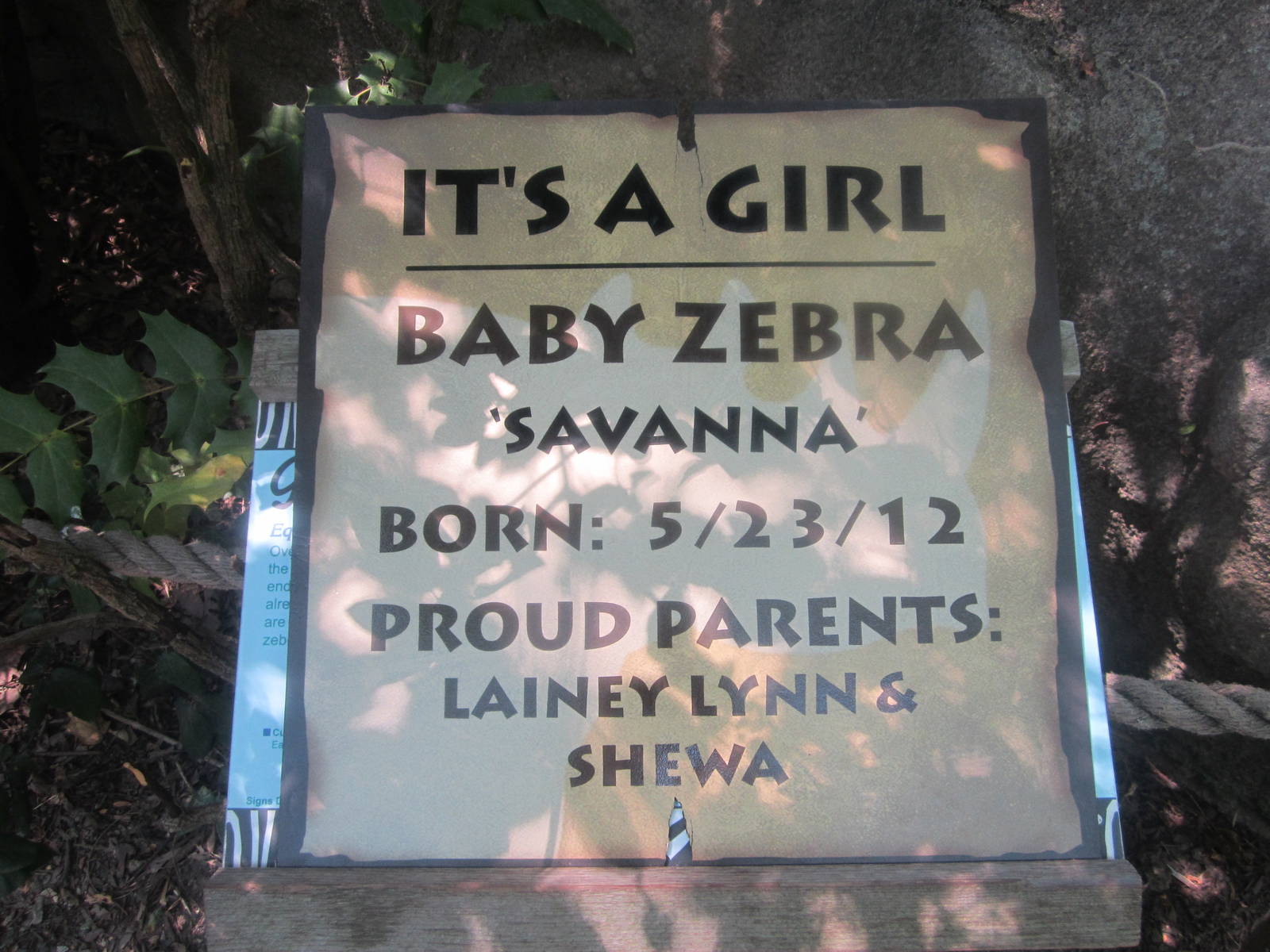 Jun. 2012-Baby Savanna Sign