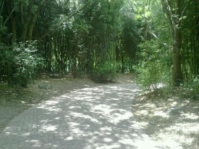 Jun. 2012-Bamboo Trail by the Red Panda exhibits