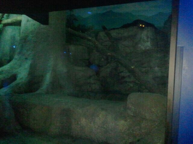 Jun. 2012-Bearcat exhibit