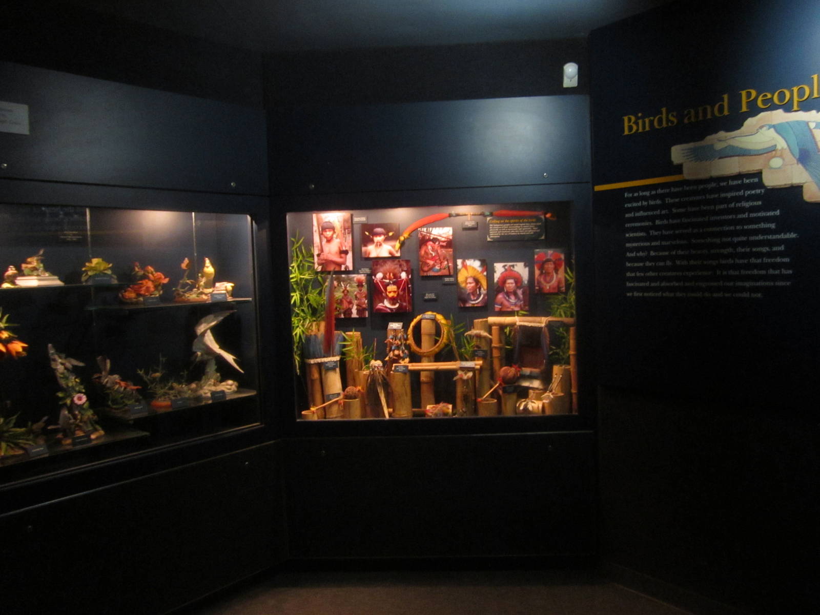 Jun. 2012-Birds and People