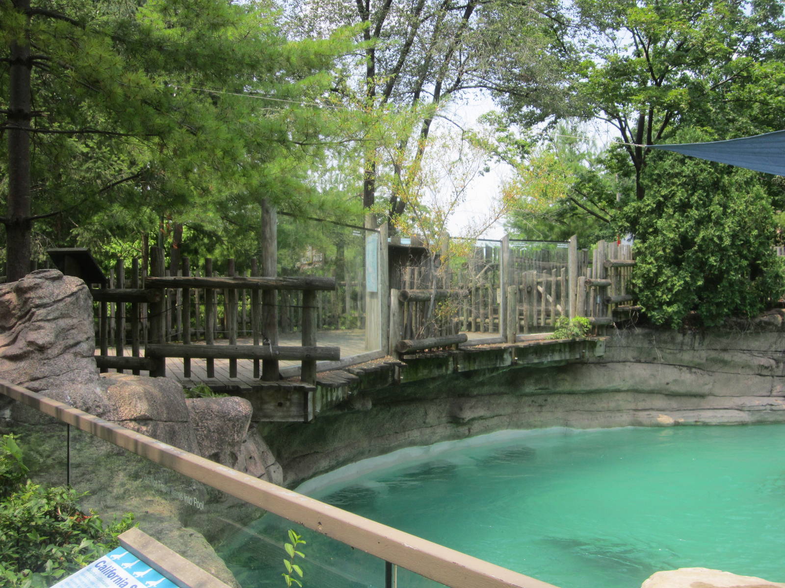 Jun. 2012-California Sea Lion exhibit 1 of 4 viewings