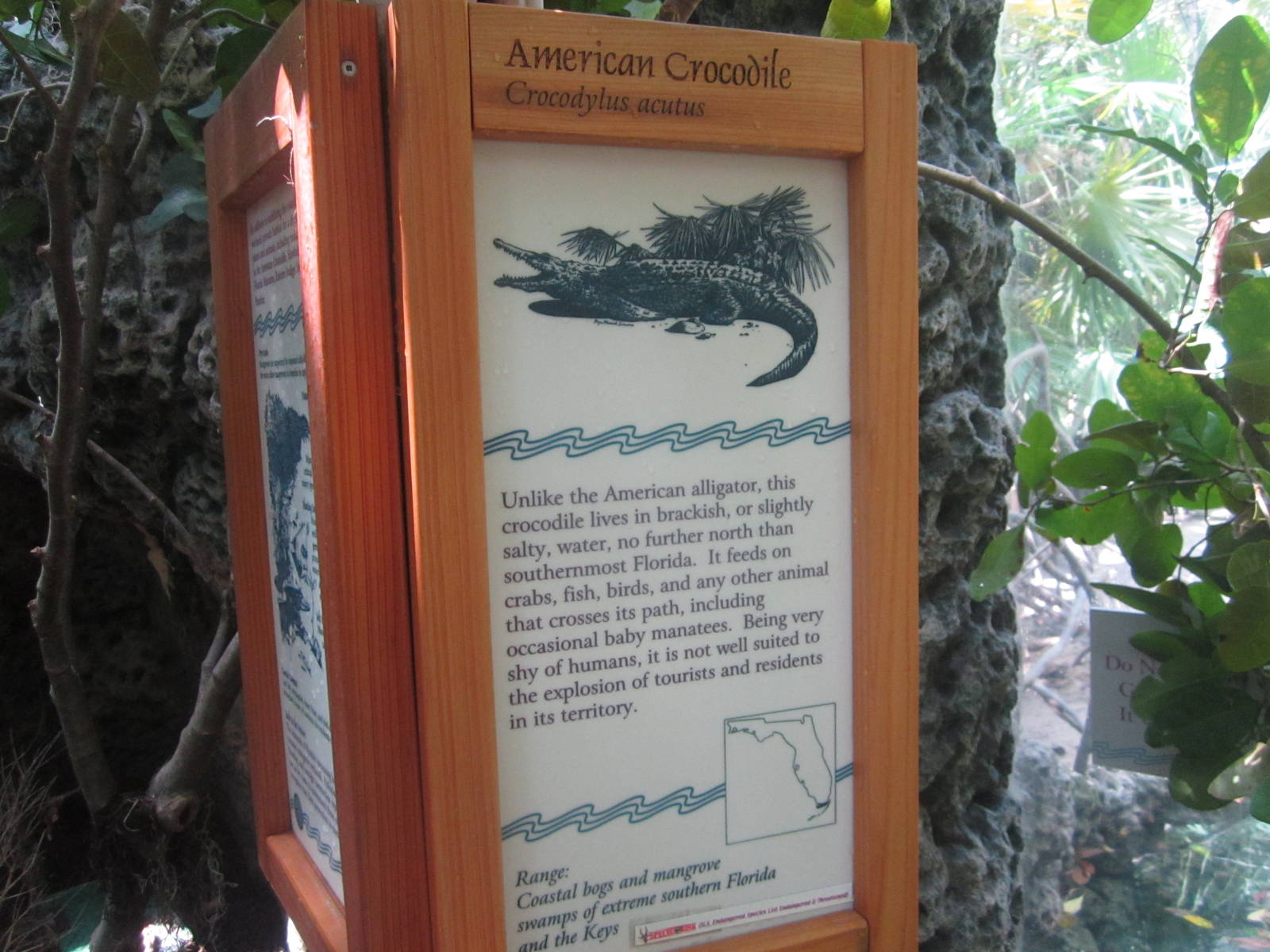 Jun. 2012-Crocodile sign