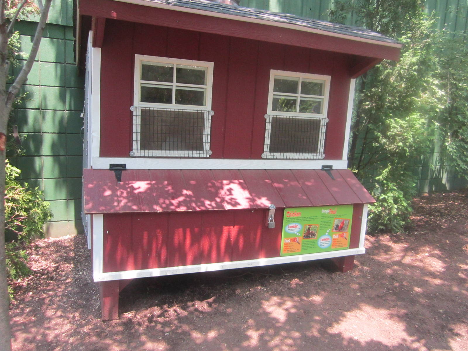 Jun. 2012-Domestic Chicken/Junglefowl exhibit