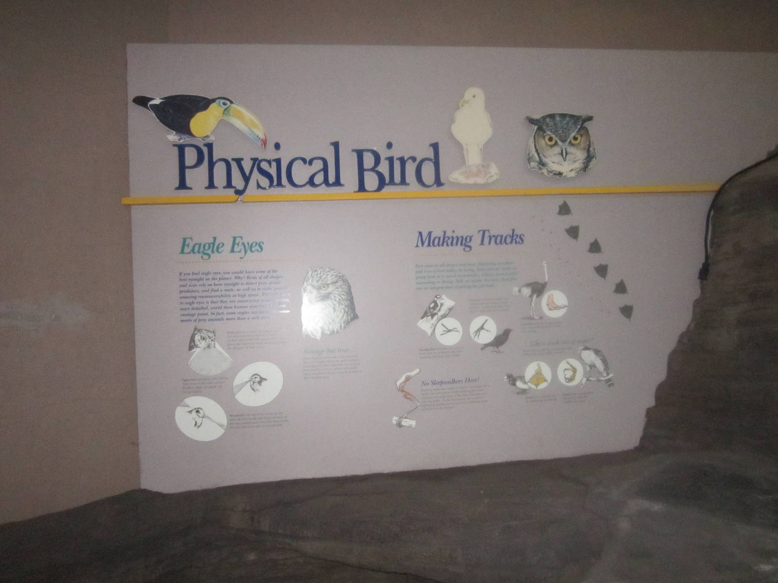 Jun. 2012-Educational Area in Wings of the World