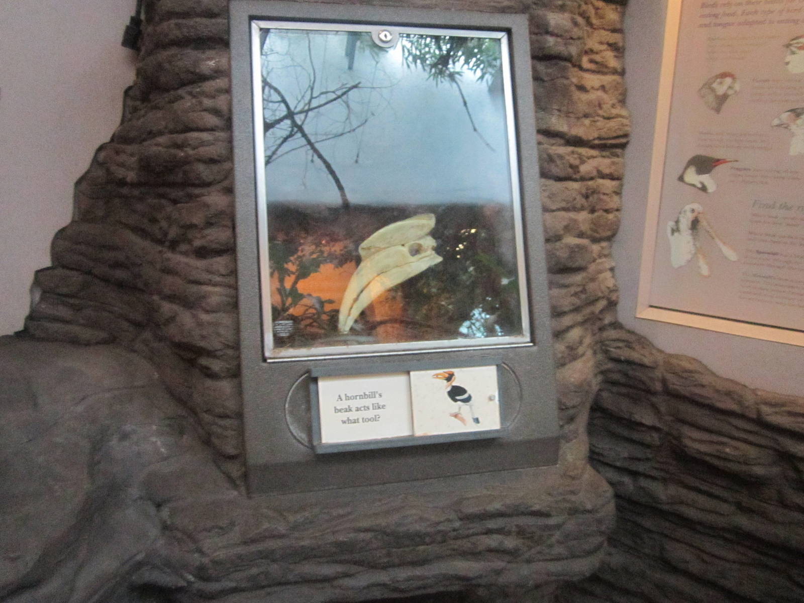 Jun. 2012-Educational Display in Wings of the World