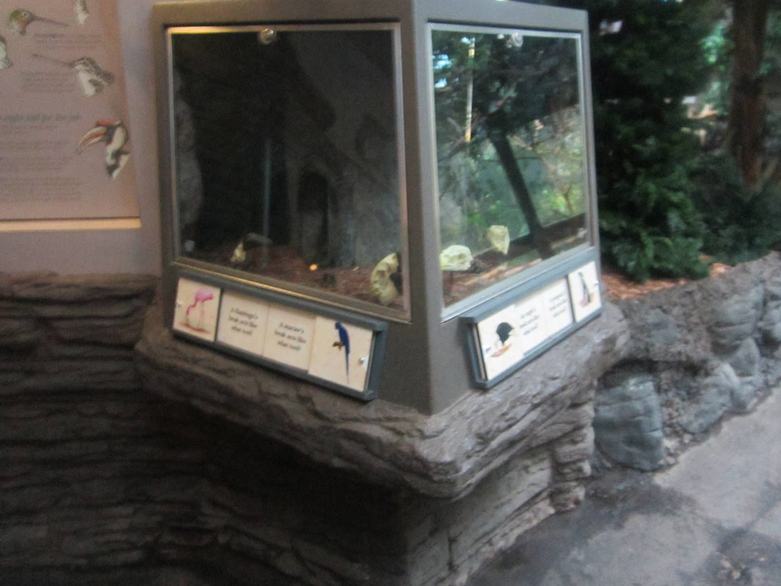 Jun. 2012-Educational Display in Wings of the World