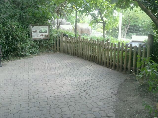 Jun. 2012-Elephant Reserve 1 of 4 viewings (Cow yard)