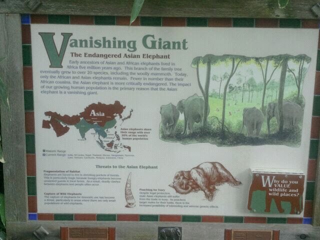 Jun. 2012-Elephant Reserve Sign