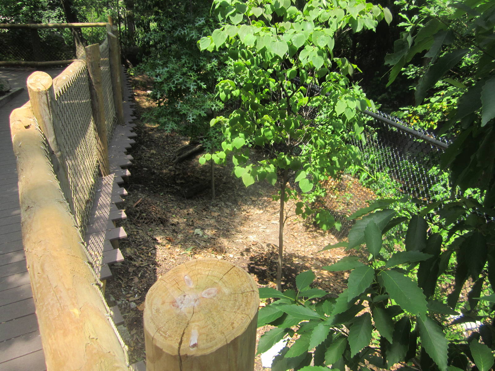 Jun. 2012-Former Eastern Wild Turkey exhibit