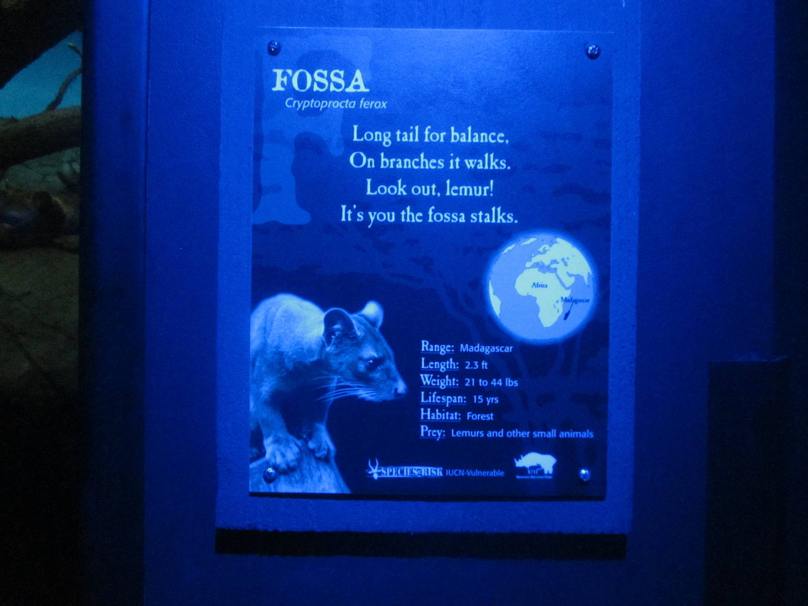 Jun. 2012-Fossa sign