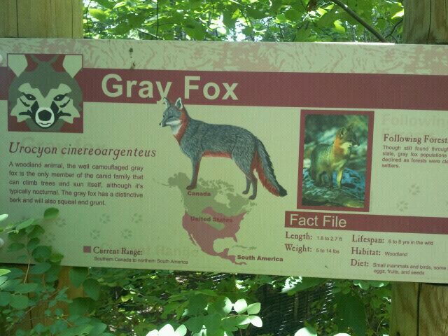 Jun. 2012-Fox sign